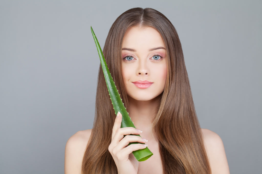 Aloe and Natural Hair Care